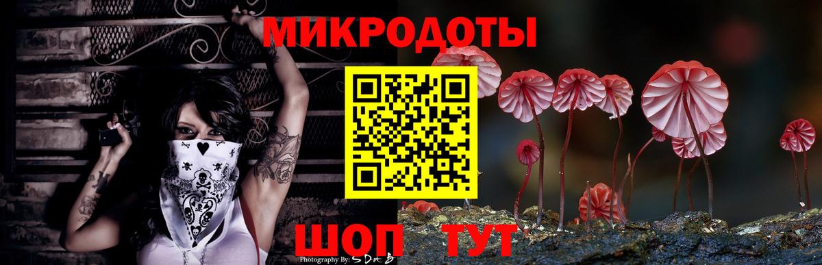 Псилоцибиновые грибы ЛСД  Вход с VPN  Псилоцибиновые грибы прущие грибы  Новотроицк 